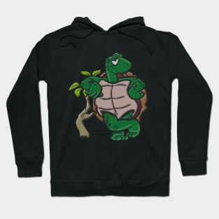 save the turtles, turtles lovers Hoodie